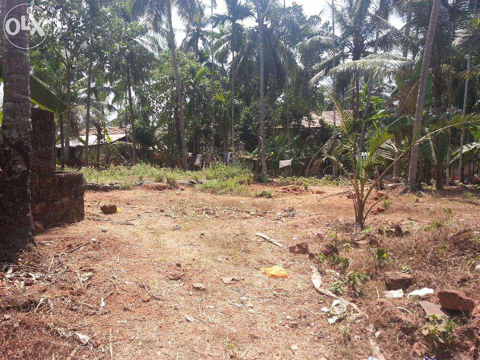 kozhikode railwaystation 6th gate west side (nadakkavu)tar road near 14 cent for