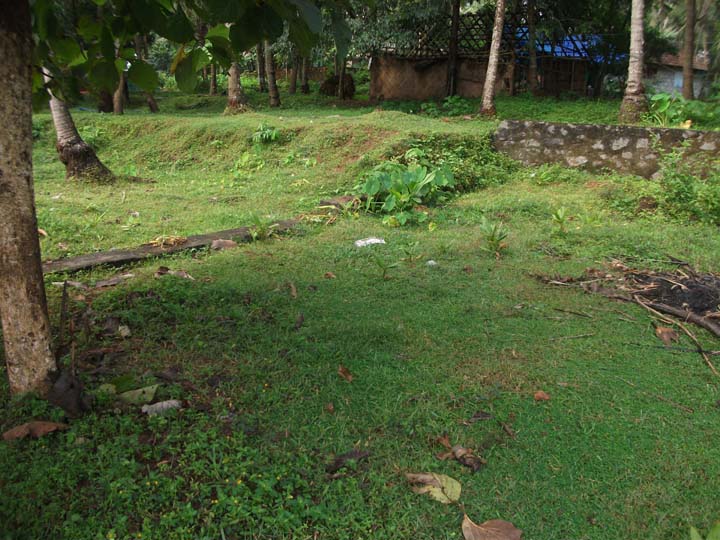 five cents house plot