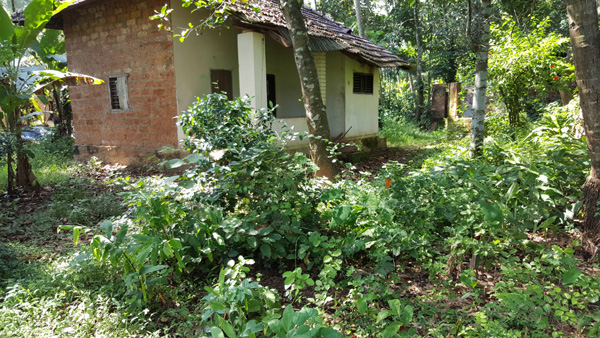 residential plot for sale near peruvayal calicut