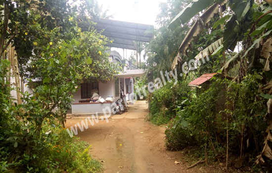 3acre land with (1200sqft) 3bhk house for sale in koleri.wayanad
