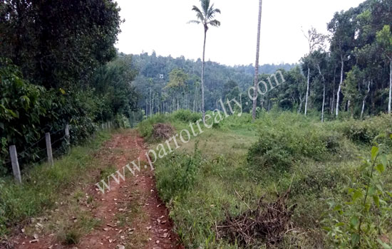 3.5acre land for sale in 5'th mile.