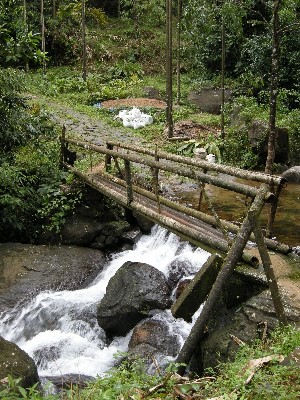 beautiful land for sale in poovaran thodu, koorunji