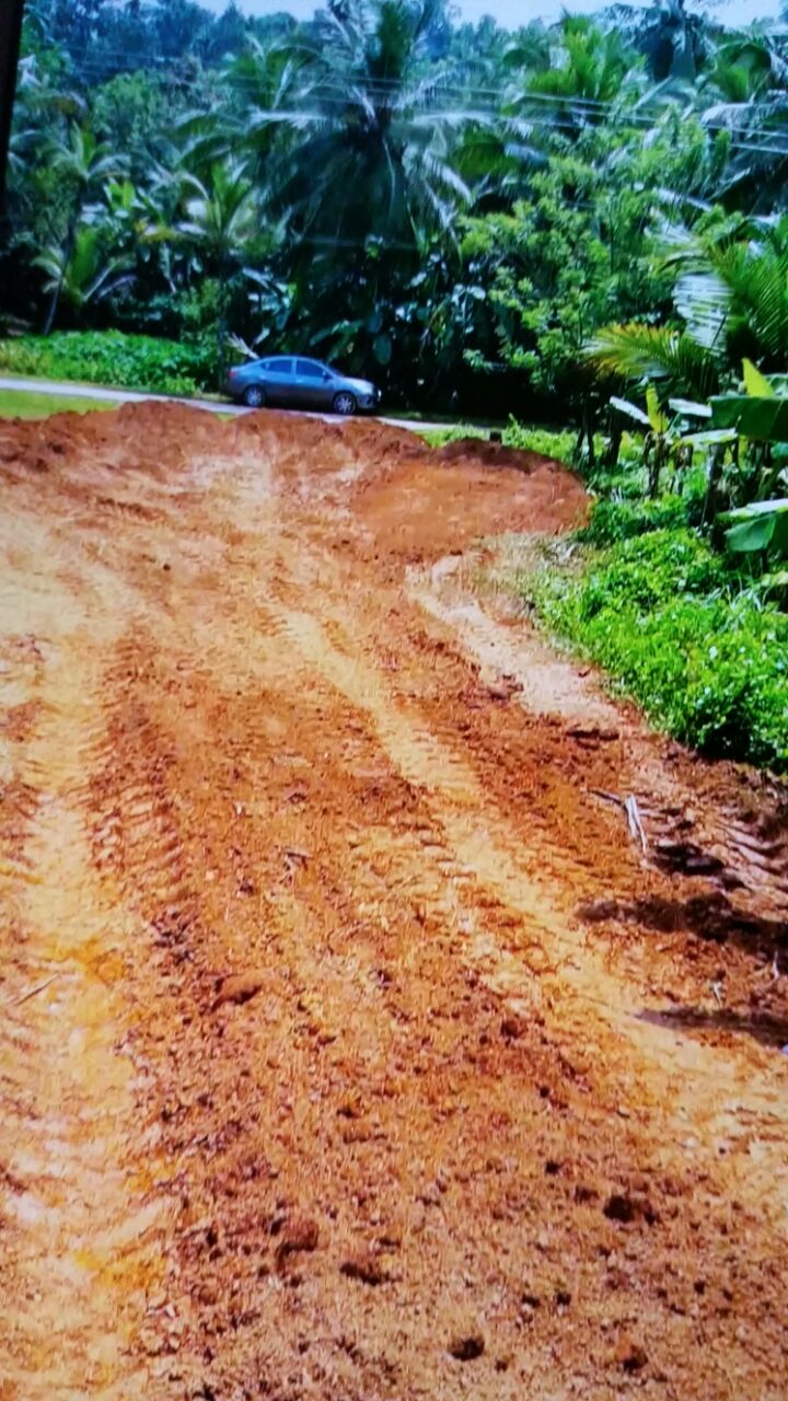 residential land near chelannur