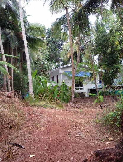 residential house plot in malaparambha, kozhikode - 5.5cents