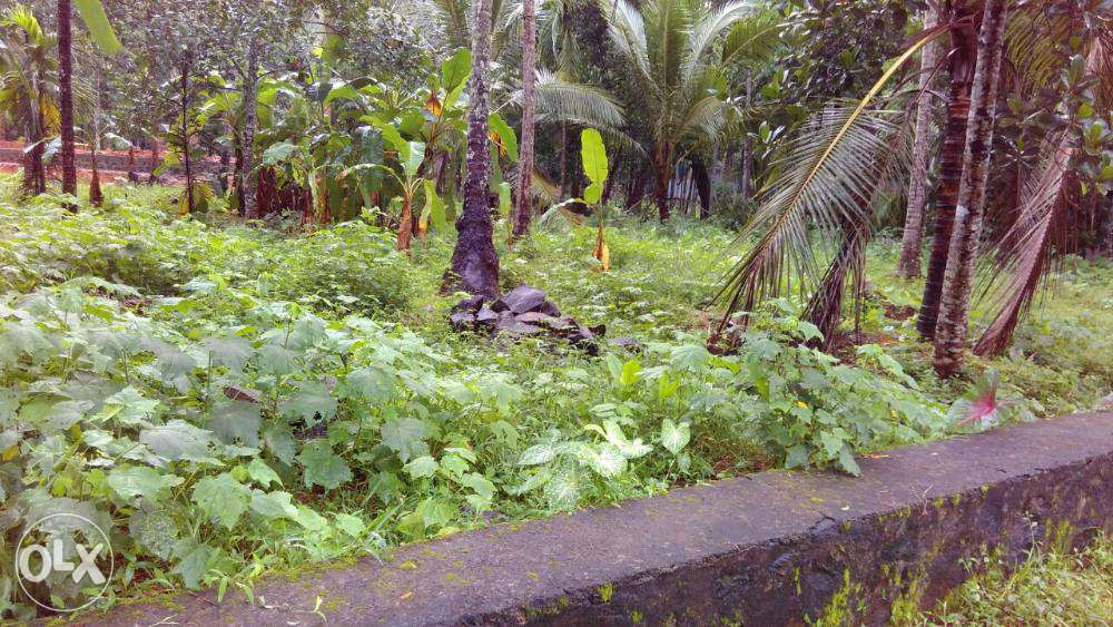 22 cents near karanthur