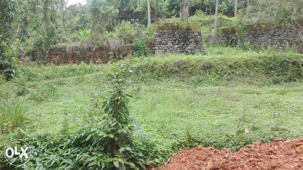 5 cent plot in kakkur