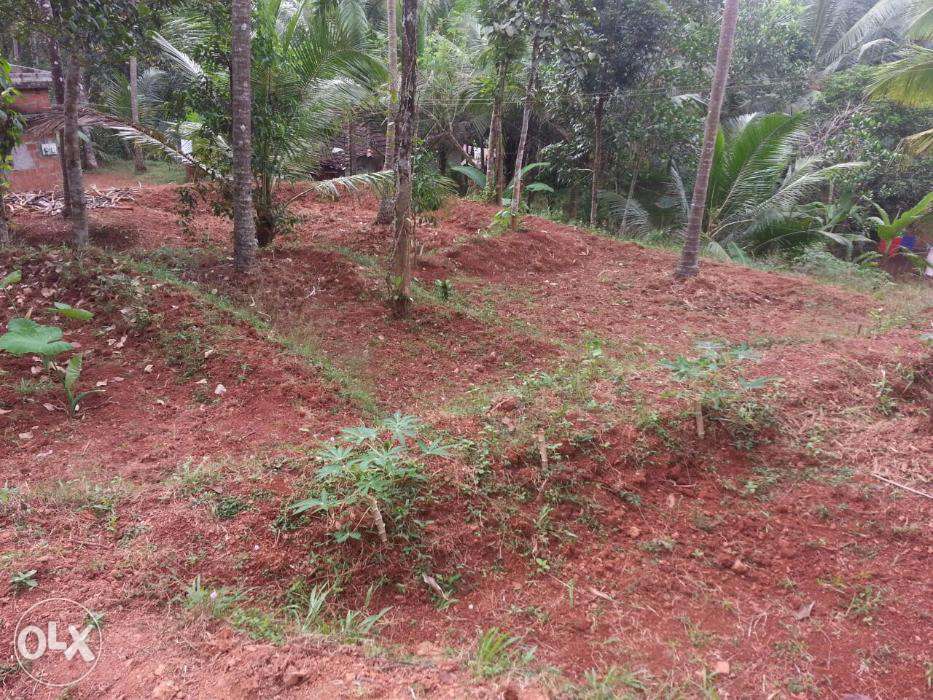 excellent residential plot near from state high way kunnathara