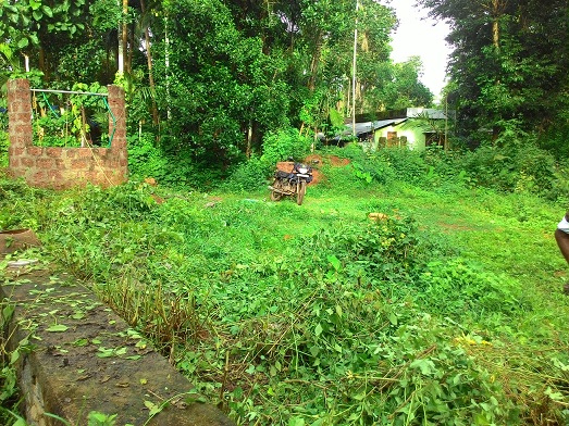 house plot
