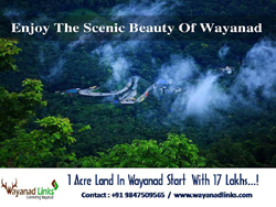 3 acre rubber plot for sale at kenichira,wayanad