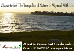 3.80 acre land with house sale at kenichira,wayanad