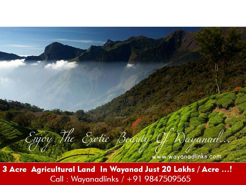 3.40 cent agricultural land at mananthavady, wayanad