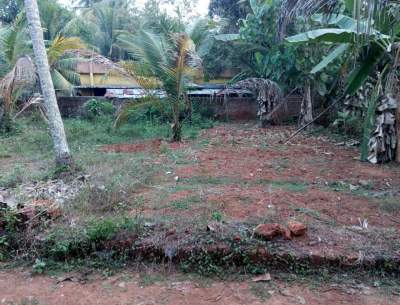 house plot for sale in kozhikode