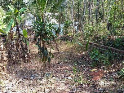 land/plot for sale in kovoor calicut