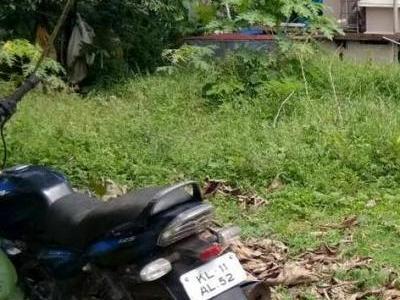 land/plot for sale chevauoor, kovoor