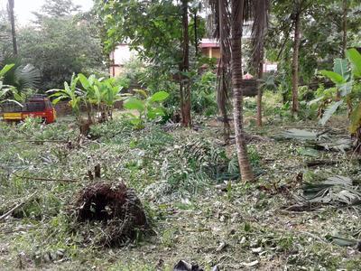 land for sale in thondayad calicut