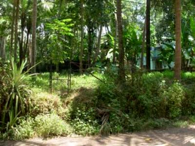 land for sale in puthiyangadi