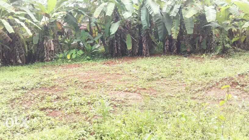 land at velliparamba