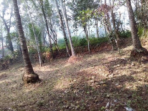 residential plot at vengeri , kozhikode