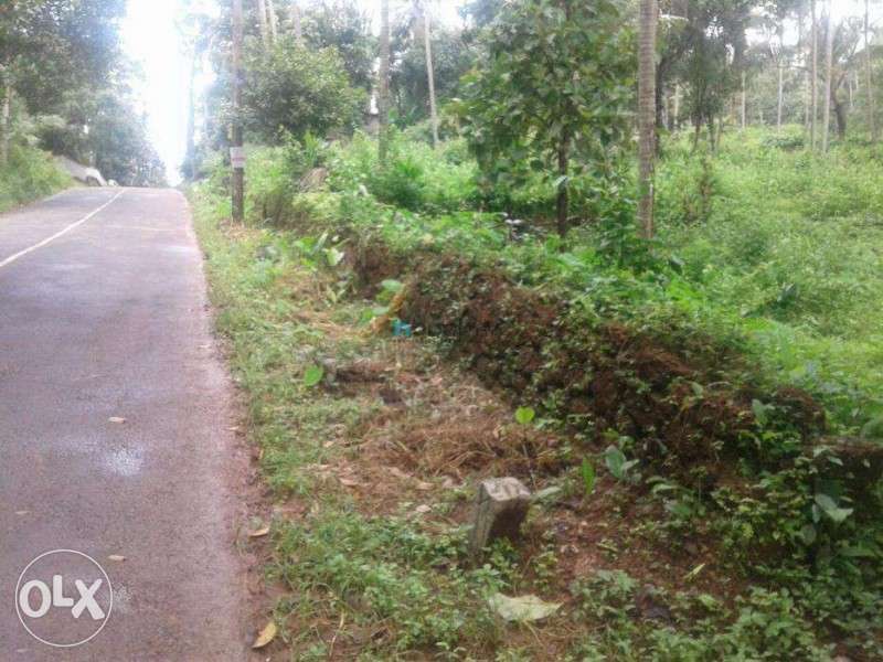 1.30acre land for sale near kunnamangalam town