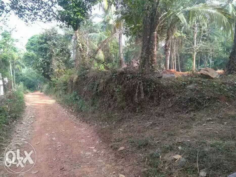 residential area